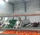 Machine carottes